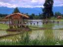 bucolic01.jpg
