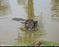 nature_MeuangBoran_04.jpg